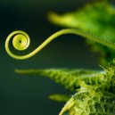 Fungus - Green Sun (Original)