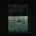 Tom Finster - Our Fears Won't Save Us