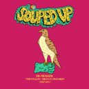 Dr Meaker - Birds Flying High