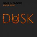 Name In Process - Delysid Secret