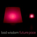 Bad Wisdom - Future Pace (Original Mix)