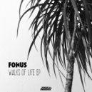 Fokus - Expectations