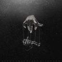 airshade - Serenity