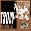 TSOW - Ts03  [interplanetary Ip10] (Original mix)
