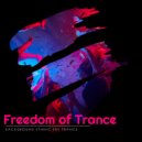 Graf x - Mystecallia (EDM Festival Psytrance)