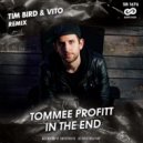 Tommee Profitt - In The End (Tim Bird & Vito Remix)