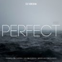 DJ KROHA - PERFECT #002