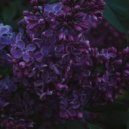Ecepta - Flora