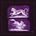 Tempura the Purple Boy - Canis Anthus