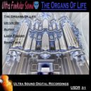 Ultra Funkular Sound - Loop Theory (Original Mix)