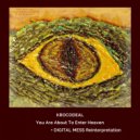 KROCODEAL  - Demolition (Digital Mess Reinterpretation)