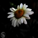 Max Metrix - The Song Of Old Days