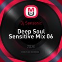 Dj Sensonic - Deep Soul Sensitive Mix 06 ()