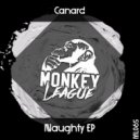 Canard - Go to the Ground