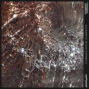 Tymotica - Incoherent Death Experience