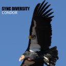 Sync Diversity - Condor