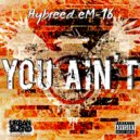 Hybreed eM-16 - You Ain't