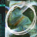 Amine Edge, Amine Edge & DANCE, Yungness & Jaminn - Like This