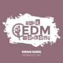 Hard EDM Workout - Swan Song (Instrumental Workout Mix 140 bpm)