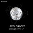 Level Groove - Losing Control (Original Mix)