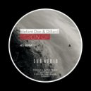 Elefant Doc, Dillard - Vision Of