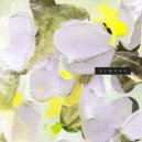 Need For Mirrors, Sal - Blurry (Original Mix)
