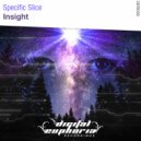 Specific Slice - Insight