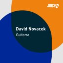 David Novacek - Guitarra
