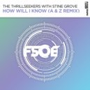 The Thrillseekers with Stine Grove - How Will I Know (A & Z Extended Remix)