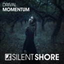 Drival - Momentum (Radio Edit)
