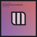 Will B & Steve Allen - Alchera (Will B Trancendental Mix)