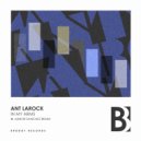 Ant LaRock - In My Arms
