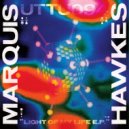 Mark Hawkins - High Altitude Sunrise