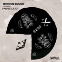 Ternion Sound - Loonz (Original Mix)