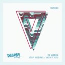 22 Weeks - Won\'t You (Original Mix)