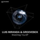 Luis Miranda, Groovebox - Frozen Poison