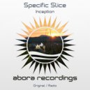 Specific Slice - Inception