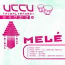 Melé - Moog Beat (DJ Boring Remix)