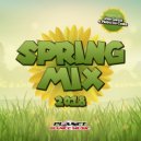 Various Artists - Spring Mix 2018 Megamix