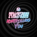 Melleefresh, MC Flipside, Chris Vench - Kontrolling You