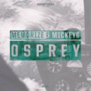 Memorize & MickeyG - Osprey (Original Mix)