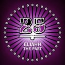 Eliahh, Valentine - The Past (Sascha Braemer Remix)