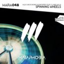 Alex Shevchenko & Enfortro feat. Claire Willis - Spinning Wheels