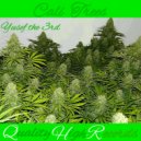 Yusef The 3rd - Cali Trees ()