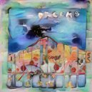 Dreems feat. Luca from Byron - That Acid From Nimbin