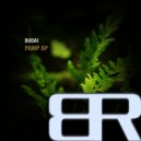 Budai - The Roof Is On Fire (Original Mix)