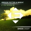 Gregor Potter & Brieuc - If You Wanna Be (Extended Mix)