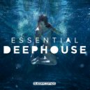 Diversion - Perfect Pleasure