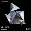 Mr. Bizz - Second Skin