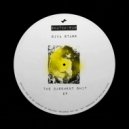 Riva Starr - The Basement Shit